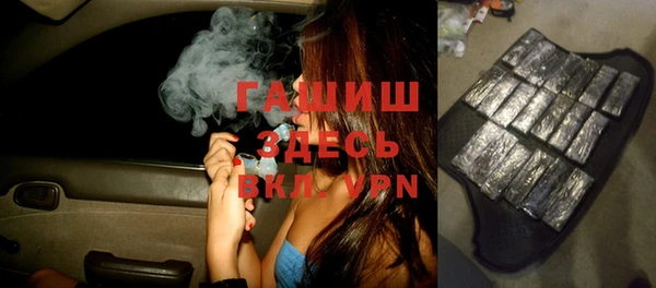 spice Инта