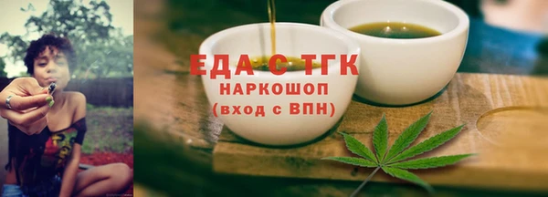 spice Инта