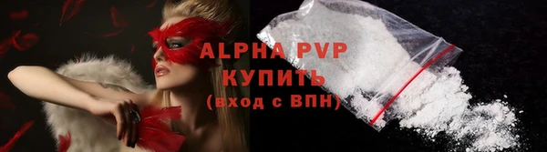 spice Инта