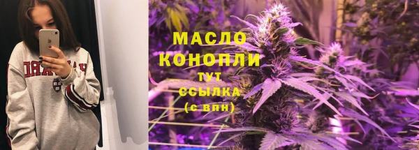 СК Зерноград
