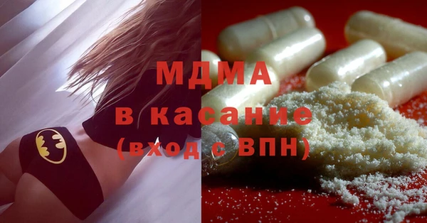 spice Инта